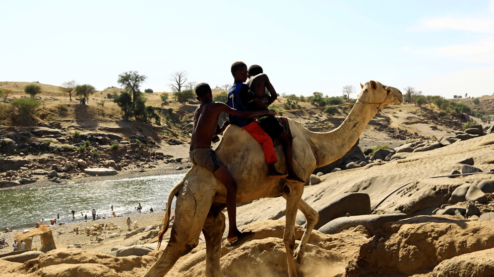 السودان.. قوات الأمن تقبض على عصابة تهريب أسلحة إلى إثيوبيا
