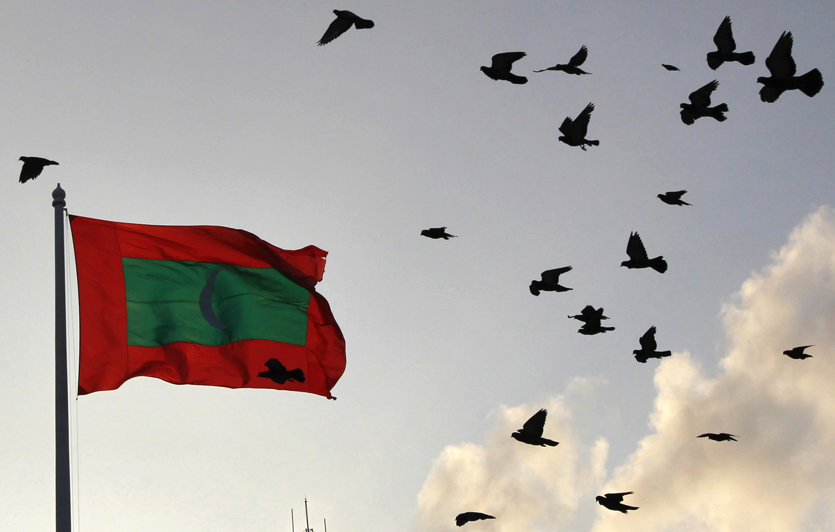 بعد المصالحة الخليجية.. المالديف تعلن عودة العلاقات مع قطر