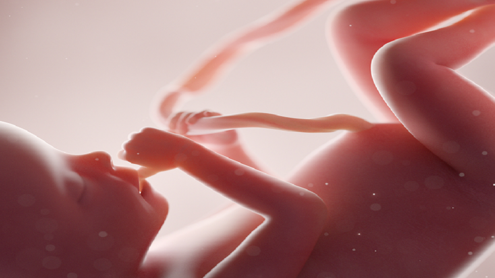 علماء يزعمون أن الخلايا الجذعية من الحبل السري لدى حديثي الولادة قد تعالج 
