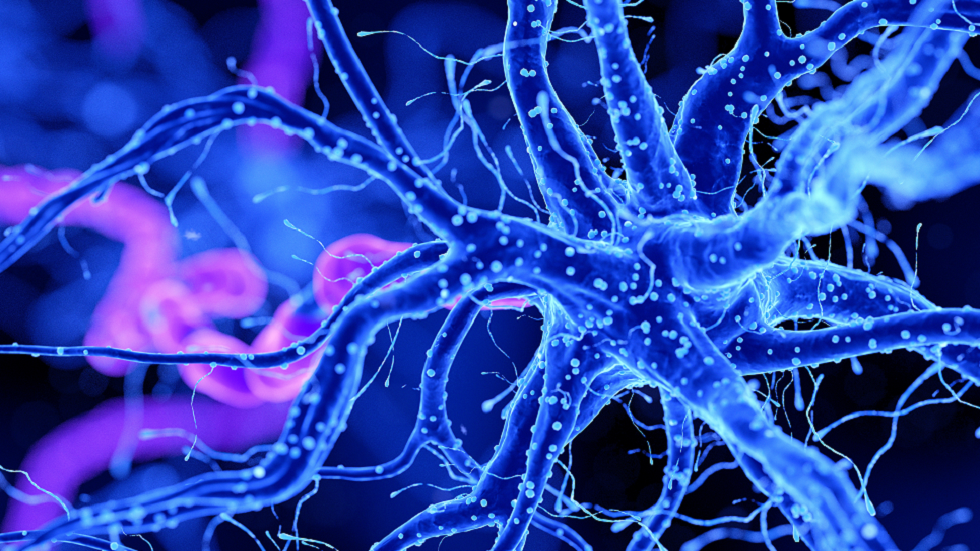 علماء يحددون خلايا الدماغ الأكثر عرضة للإصابة بمرض ألزهايمر لأول مرة!
