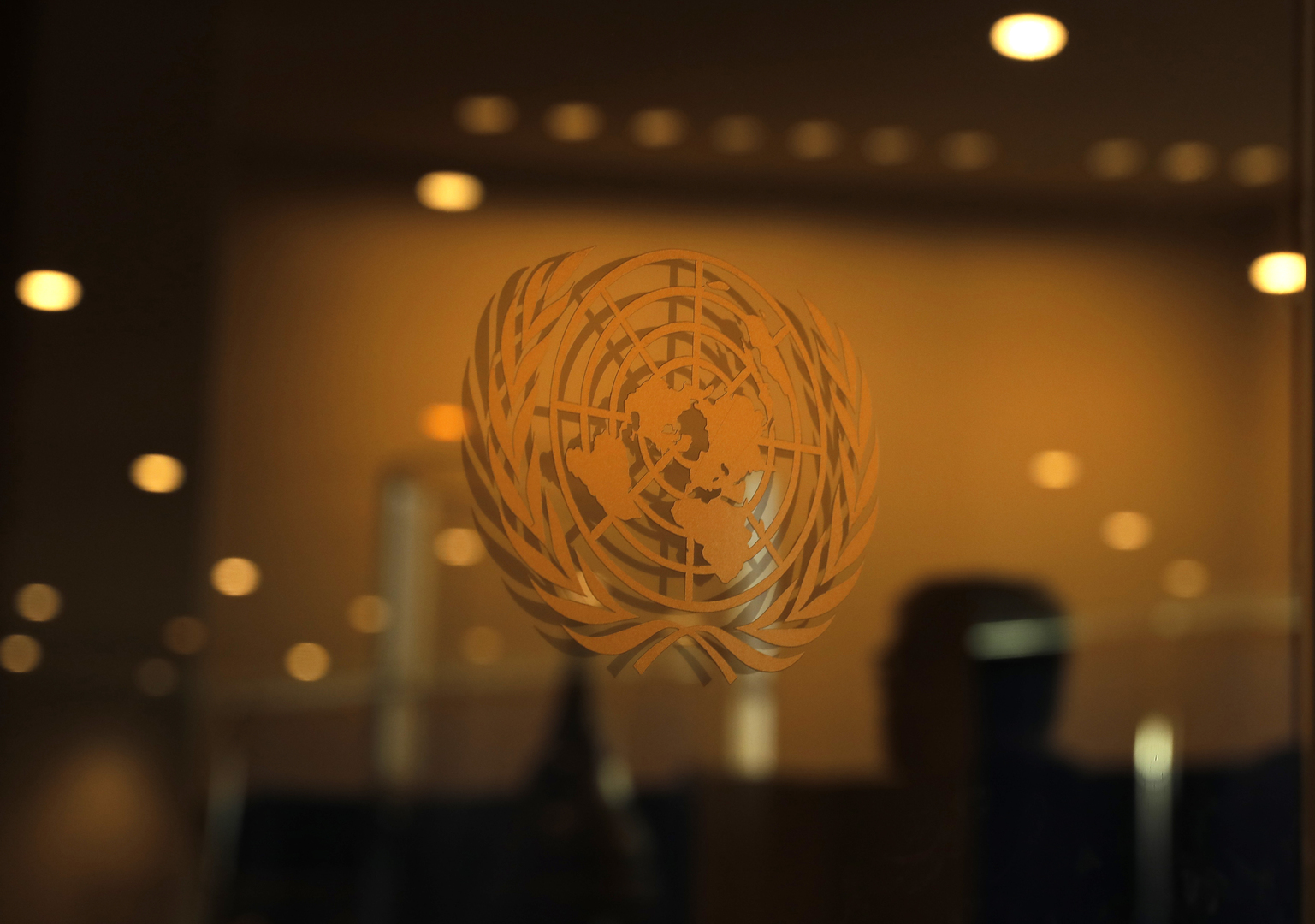 الأمم المتحدة تنوي مناقشة حماية حقوق الإنسان أثناء حجب الحسابات على مواقع التواصل الاجتماعي