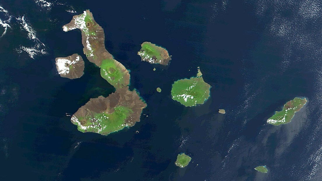 العلماء يحلون لغز النظام البيئي الاستثنائي لجزر غالاباغوس