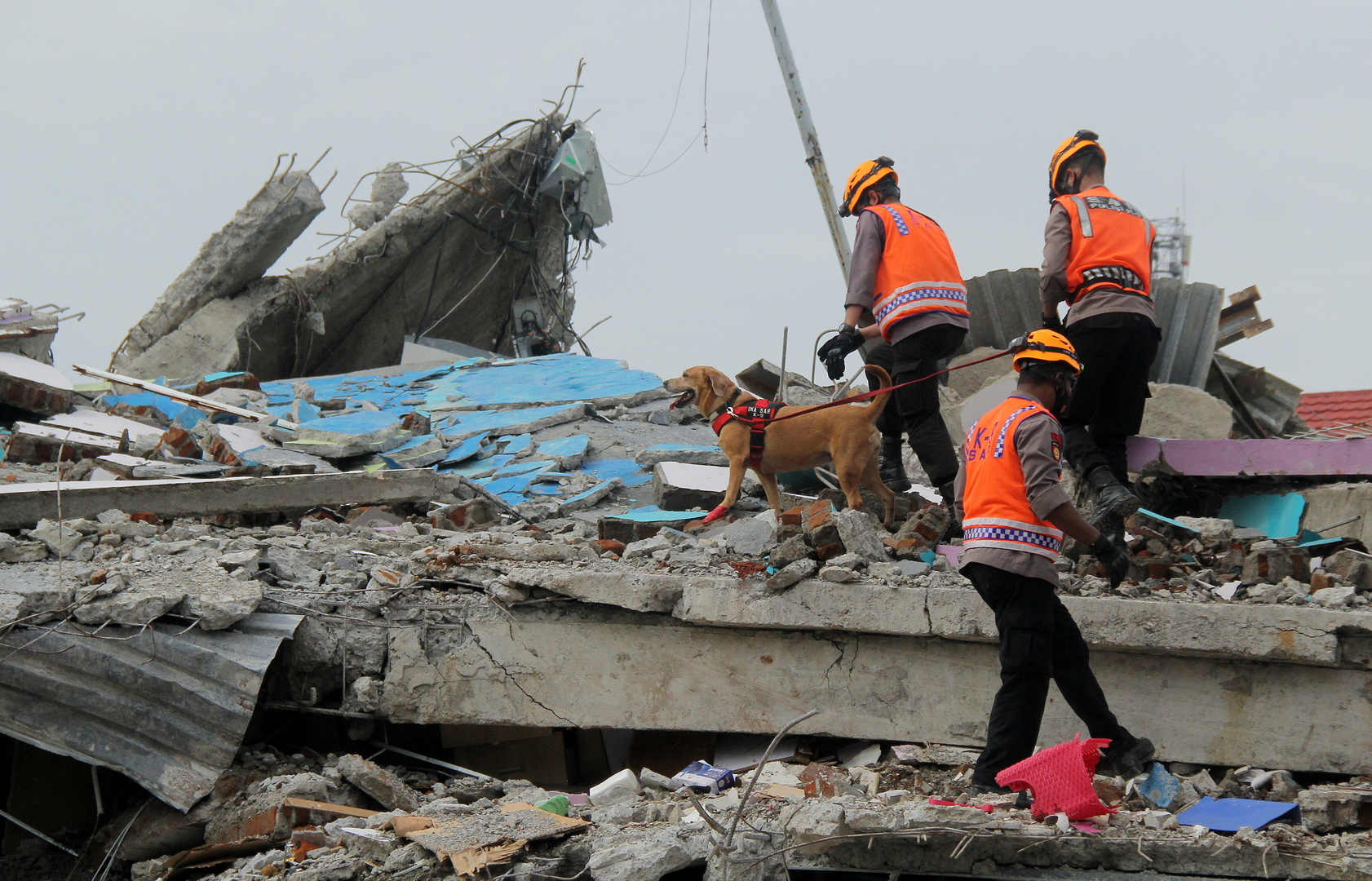 إندونيسيا.. ارتفاع عدد قتلى زلزال سولاويسي إلى 81 شخصا