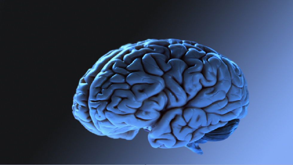 دراسة: أزمة السمنة قد تعرّض الأفراد لخطر الإصابة باضطراب دماغي 