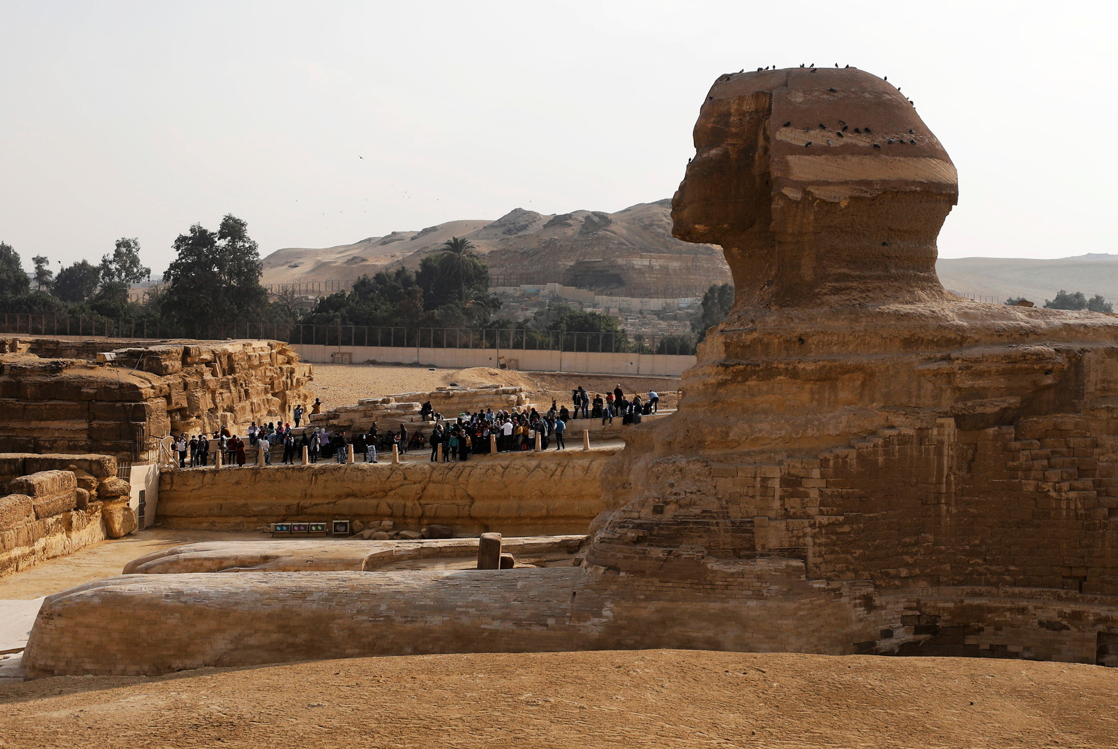 مصر تطلق مبادرة جديدة لدعم السياحة والطيران