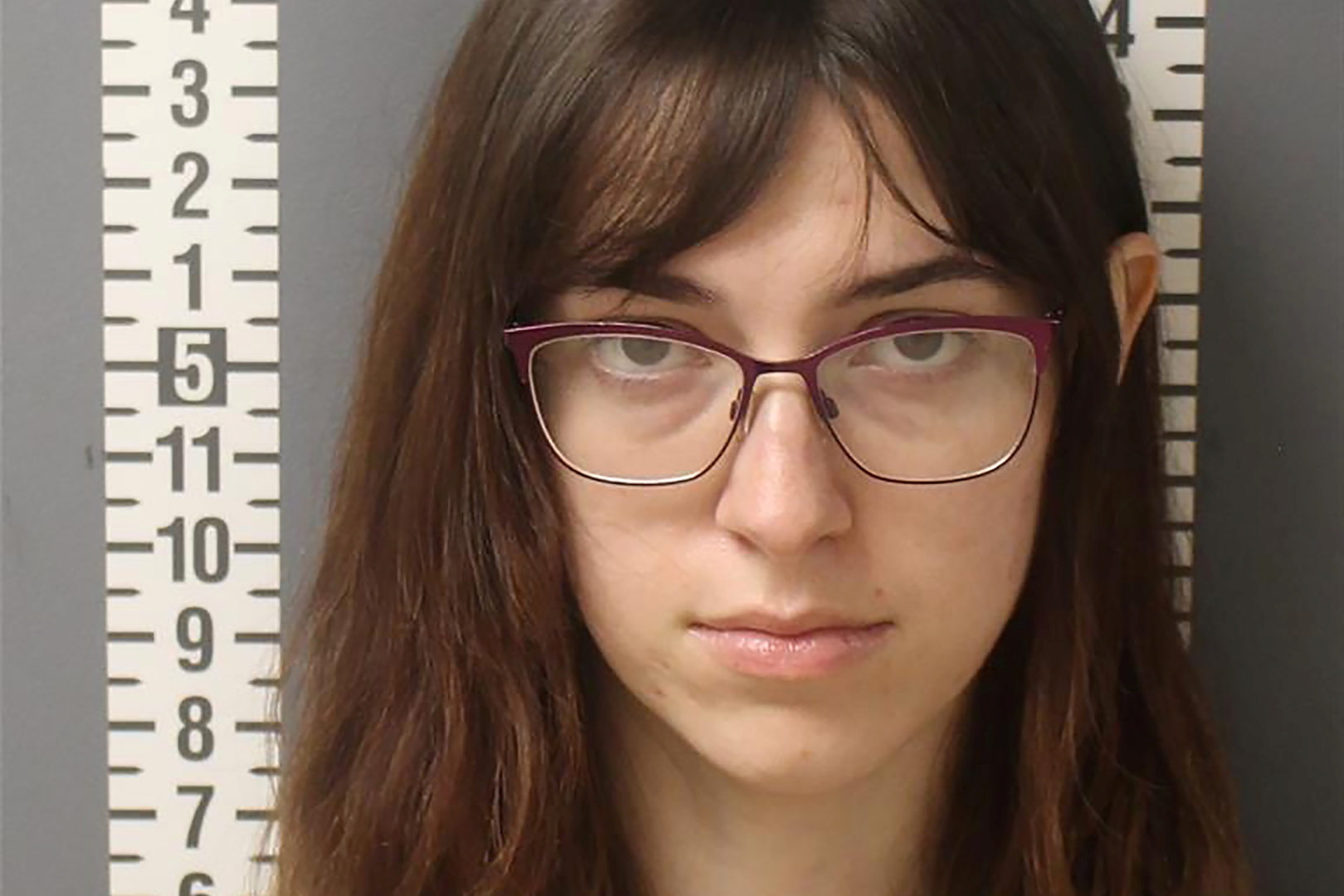 الولايات المتحدة.. إطلاق سراح امرأة متهمة بسرقة كمبيوتر بيلوسي