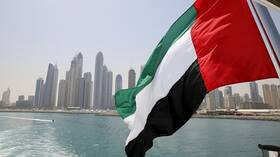 الإمارات تؤكد استعدادها لـ