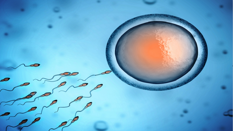 علماء يحذرون من أثر عدوى 