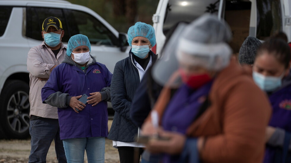 منظمة الصحة للبلدان الأمريكية تسجل انخفاض إصابات كورونا في الولايات المتحدة وكندا