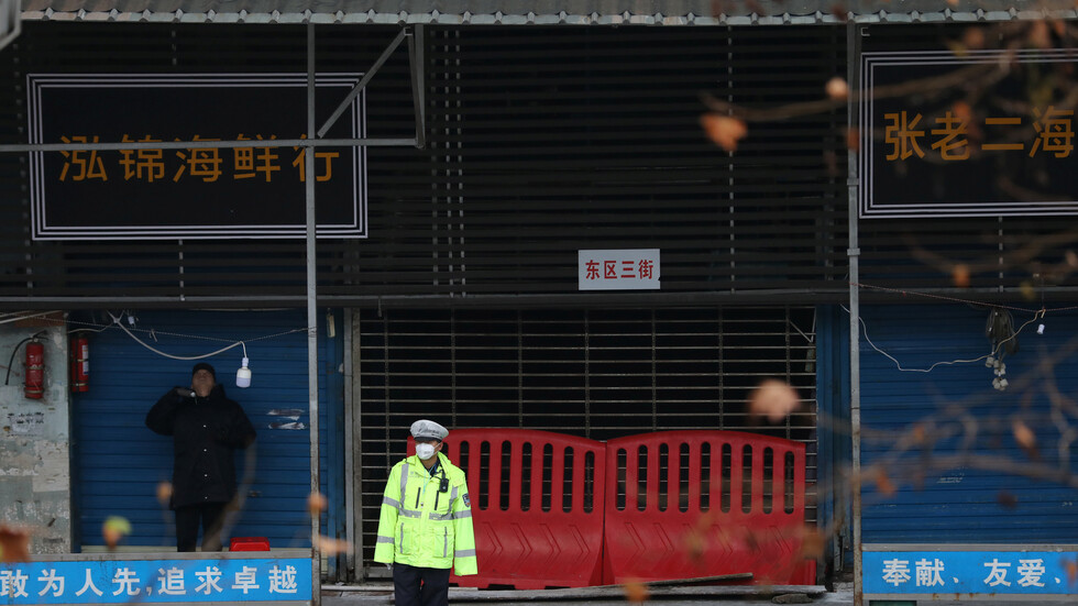 خبير دولي عن منشأ 