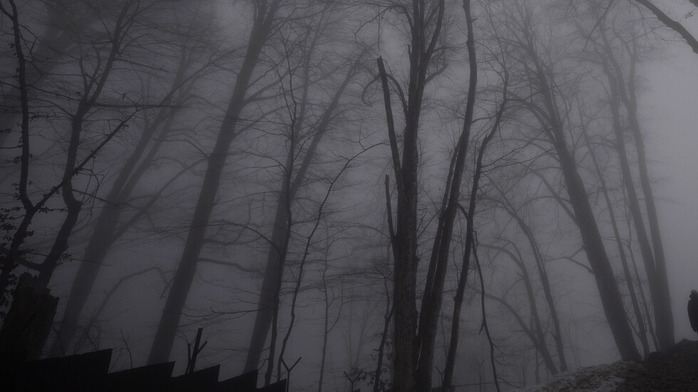 العثور على مجموعة مؤلفة من 14 شخصا في جبال الشيشان بعد فقدان الاتصال بهم