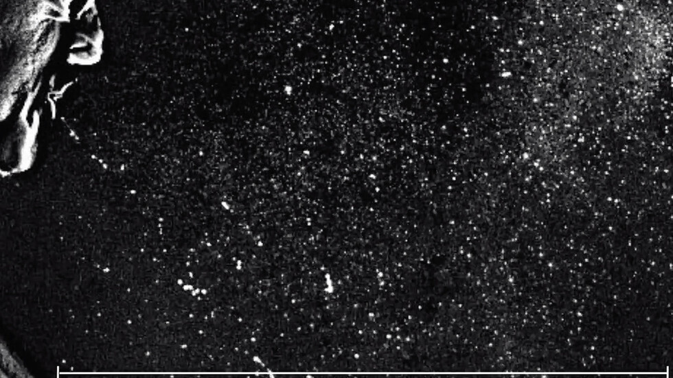 علماء يكشفون المزيد من العوامل الرئيسية التي تجعل الأشخاص