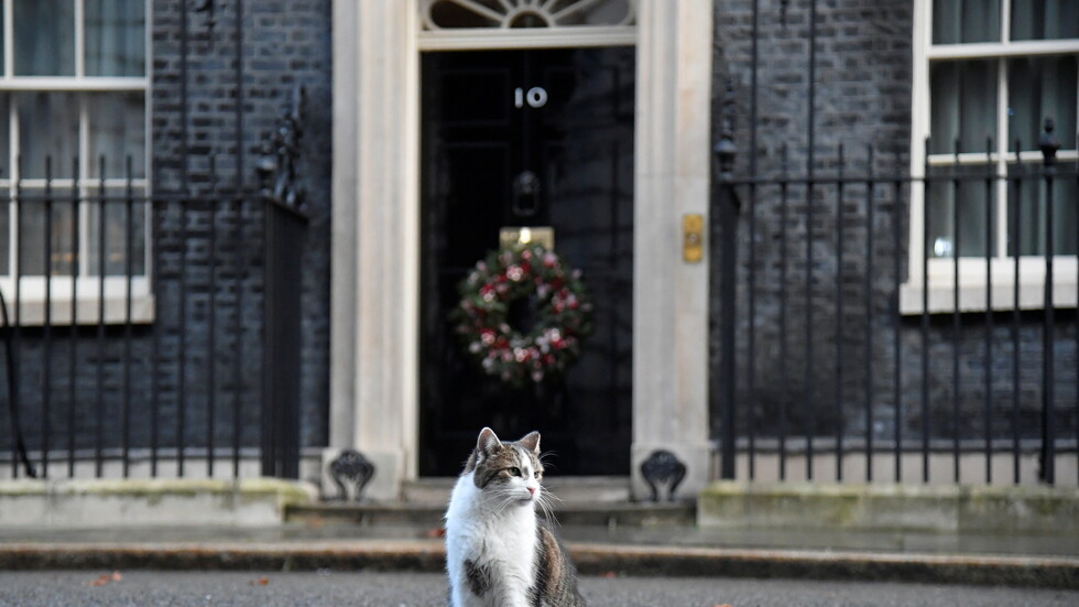 القط لاري يحتفل بالذكرى العاشرة لتوليه مهامه في "داونينغ ستريت"