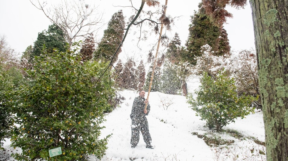 بالفيديو.. تساقط الثلوج في سوتشي يثير خطر وقوع انهيارات جليدية في جبال المنطقة