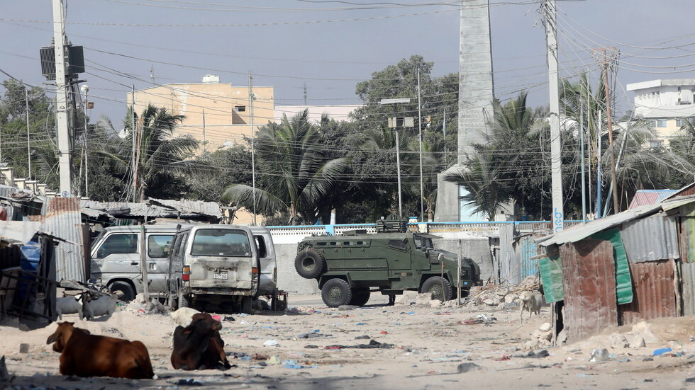حكومة الصومال تشن هجوما حادا على الإمارات وتتهمها بالتدخل في شؤونها