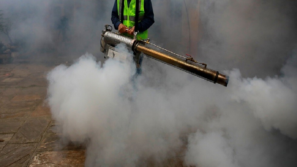 العاصمة الأرجنتينية تعاني من كثافة بعض انواع الحشرات