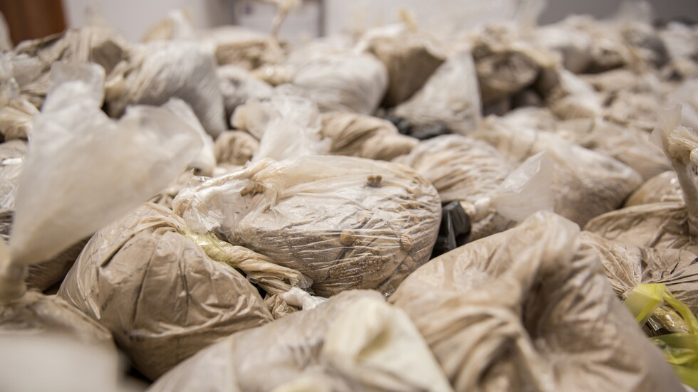 هولندا..ضبط أكبر كمية كبيرة من مادة الهيروين