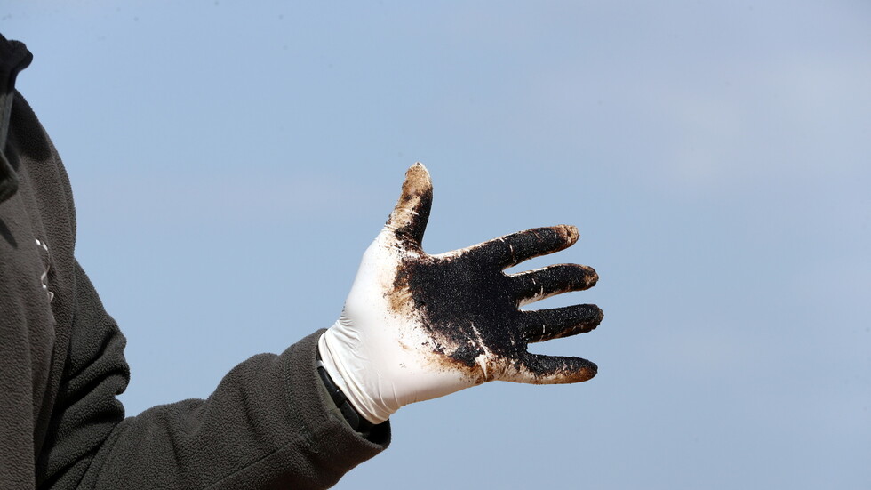 إسرائيل تحظر بيع المأكولات البحرية من المتوسط على خلفية تسرب نفطي