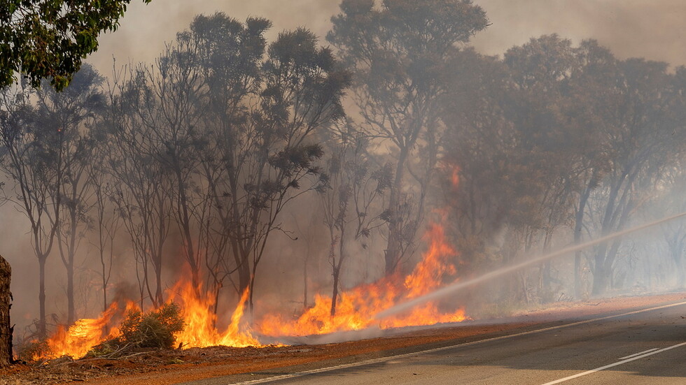 37 حريقا "إجراميا ومتعمدا" التهمت غابات وحقول الجزائر في شهر فبراير