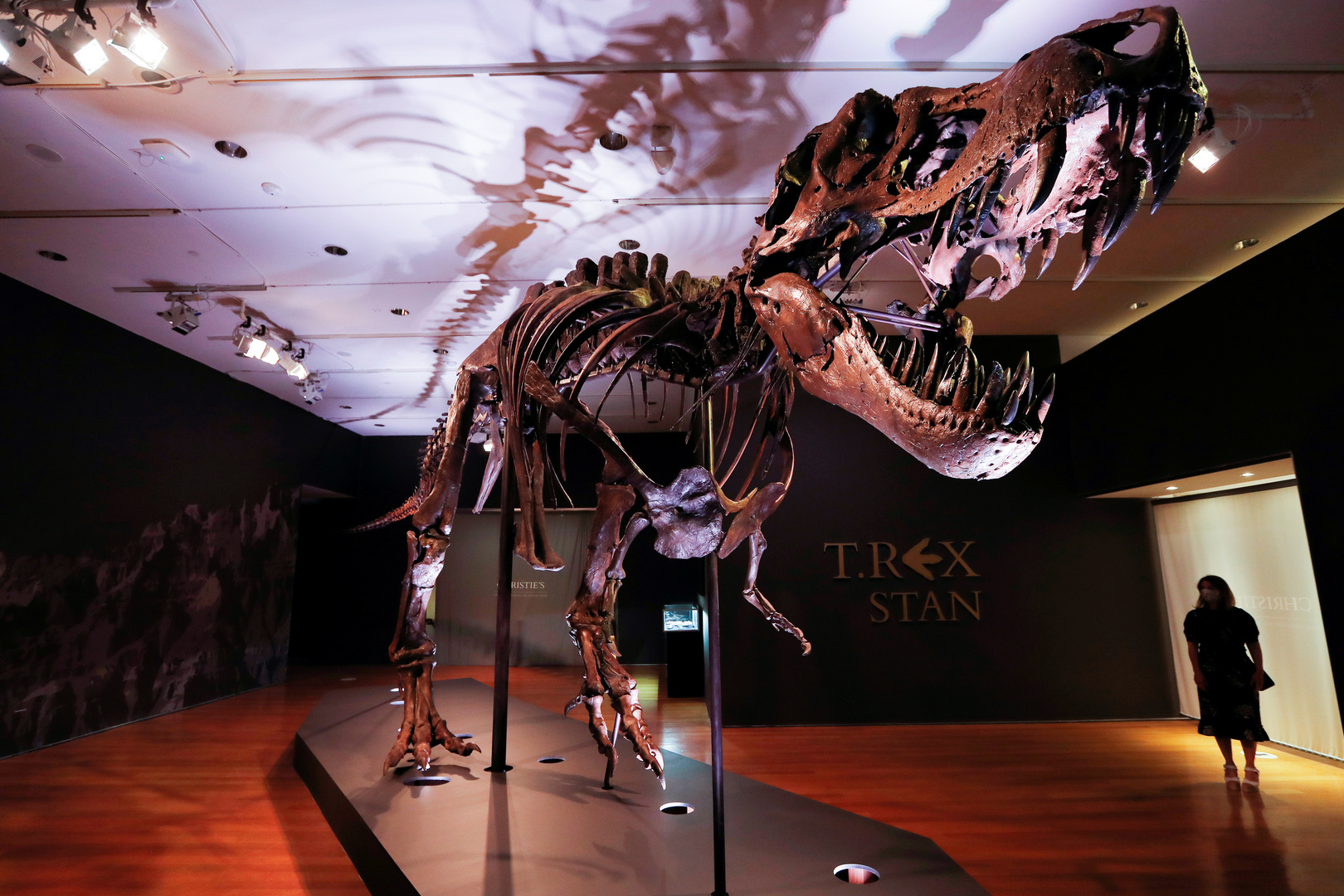 طفلة تكتشف بصمة قدم  لديناصور تعود إلى 220 مليون عام