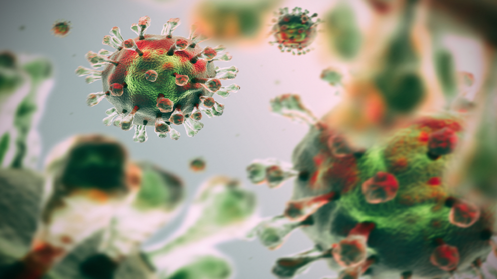 أدلة جديدة لكيفية إصابة فيروس SARS-CoV-2 خلايانا بالعدوى