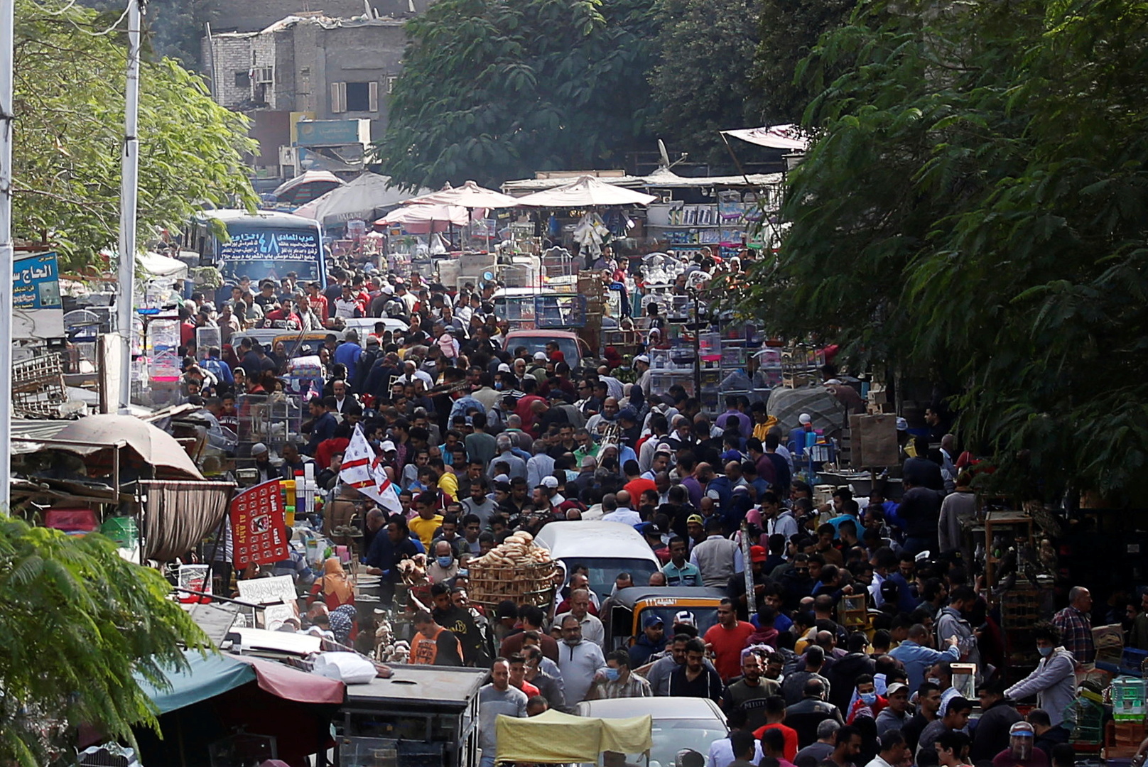 مصر تعلن عن معدل الزيادة السكانية في البلاد