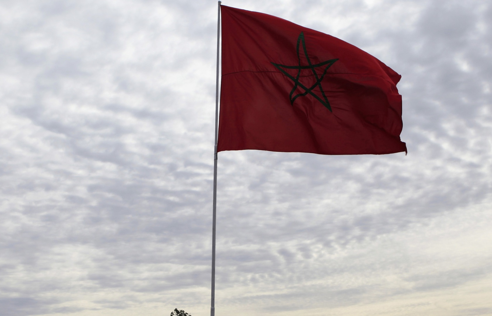 المغرب.. انخفاض مستمر في أعداد الإصابات والوفيات اليومية بكورونا