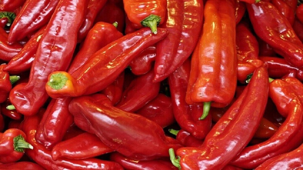 الفلفل الحار يقلل من خطر الموت