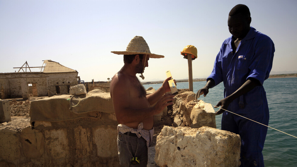 وزير الدولة السعودي لشؤون الدول الإفريقية يحرك المياه الساكنة حول 