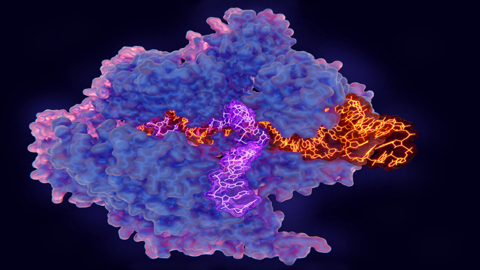 علاج تجريبي واعد لارتفاع الكوليسترول بتقنية "جدلية"!