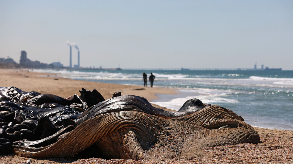 إسرائيل: التسرب النفطي أمام شواطئنا مرتبط بإيران وهو حادث إرهابي