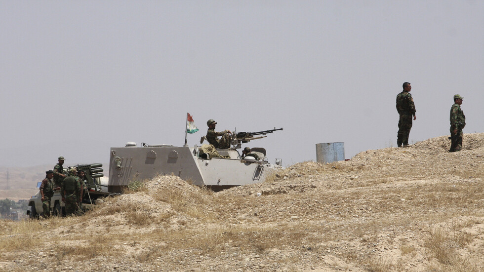 مسؤولة كردية: أكراد سوريا أعادوا إلى الطائفة الإيزيدية بالعراق 12 طفلا من آباء جهاديين في "داعش"