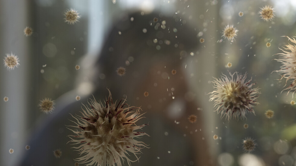 هل تزداد مخاطر "كوفيد-19" مع حبوب اللقاح المحمولة جوا في الربيع؟