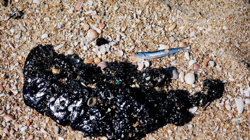 شركة تحقيق إسرائيلية: السفينة التي لوثت شواطئ إسرائيل ملك لعائلة سورية