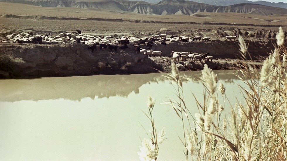 اليونسكو: العالم سيواجه مشكلة نقص المياه بحلول عام 2030