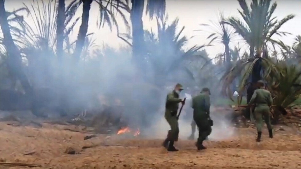 المغرب.. حريق كبير يأتي على 200 نخلة بواحة جنوب المملكة