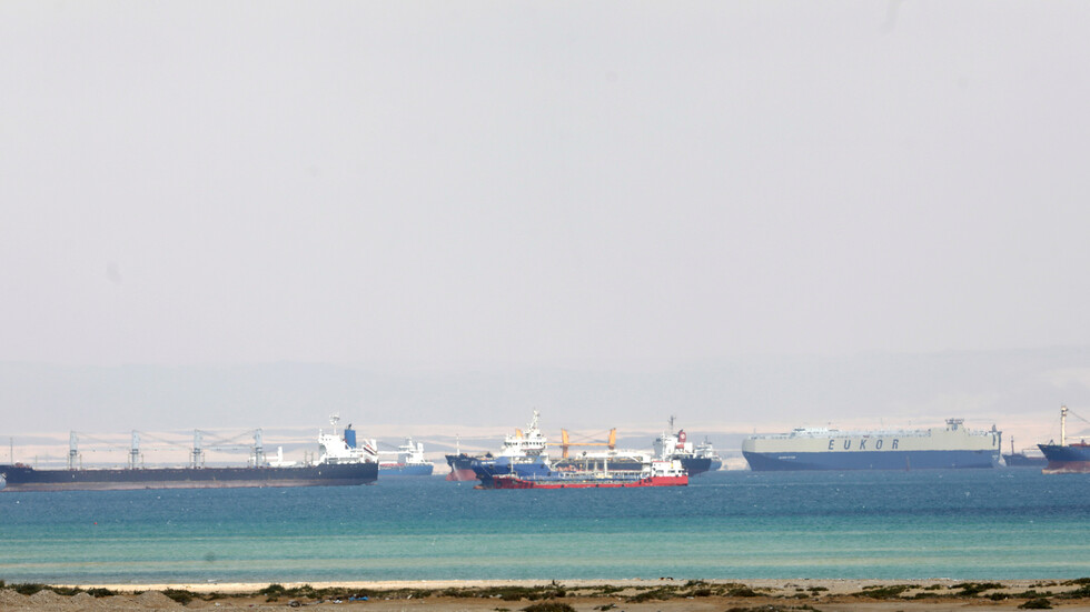 الأردن يدرس إدخال 7 بواخر أغنام عبر منافذ أخرى بينها سوريا بعد إغلاق قناة السويس