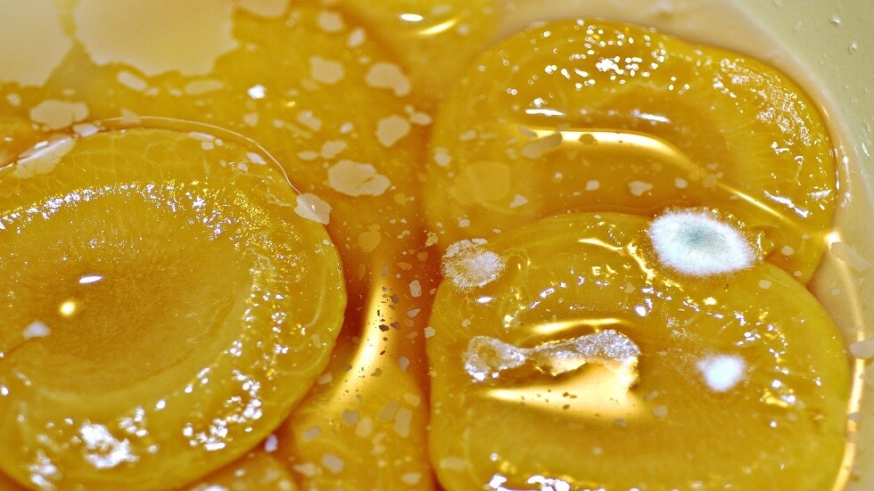 لمن العفن أكثر خطورة؟