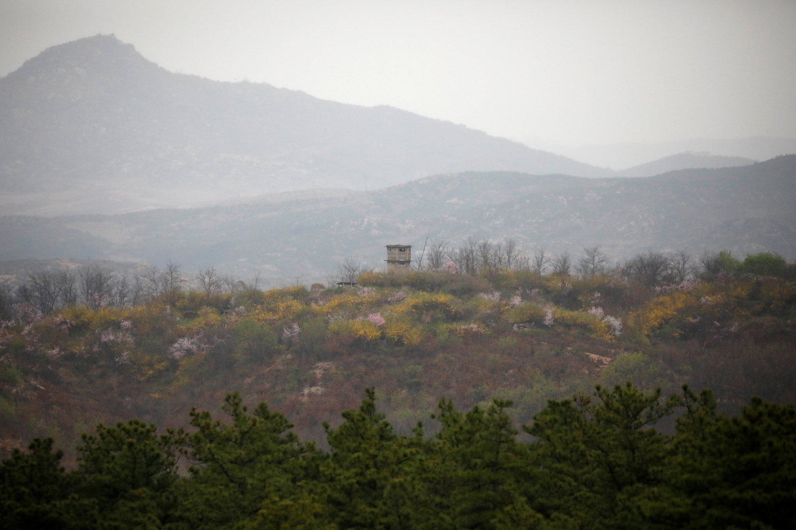 منظمة: كوريا الشمالية فقدت غابات بمساحة 330 ألف ملعب كرة قدم في نحو عقدين