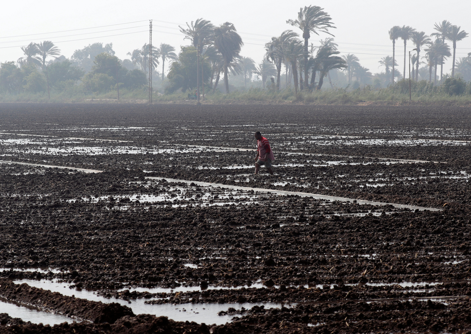 مصر تحسم الجدل حول بيع المياه للمزارعين في ظل أزمة سد النهضة