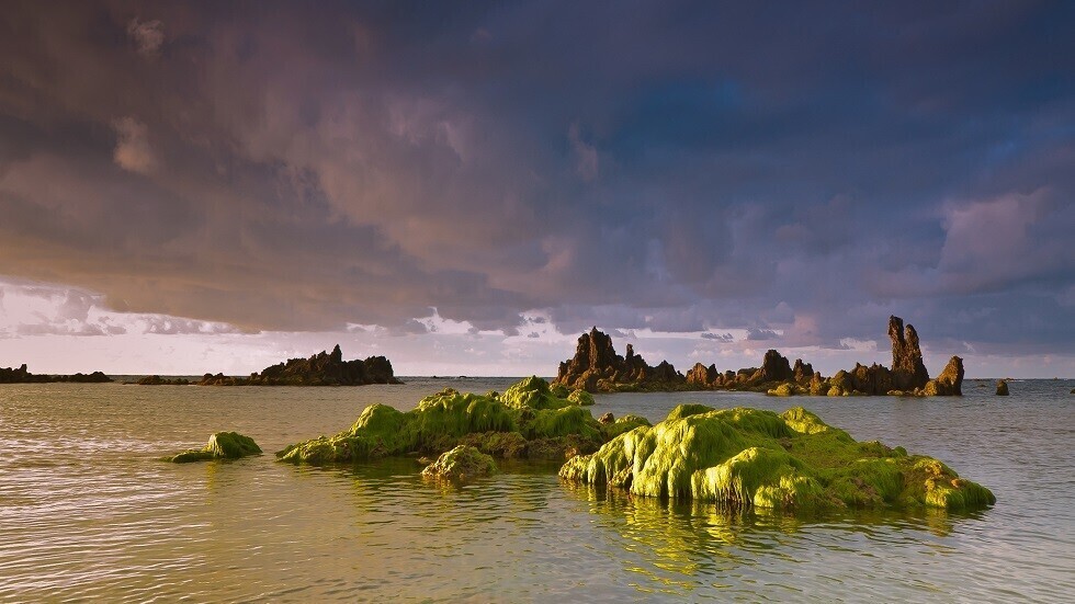 الاحتباس الحراري ينشر 