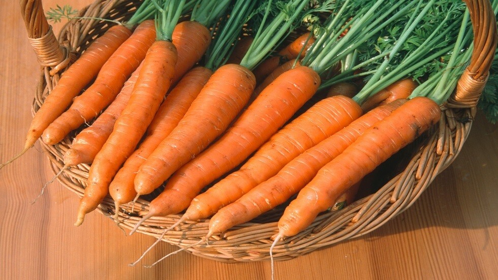 طبيب يكشف عن الممنوعين من تناول الجزر