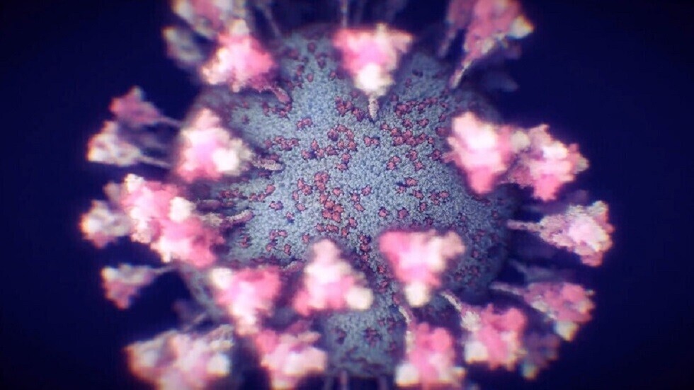 عالم مناعة: 