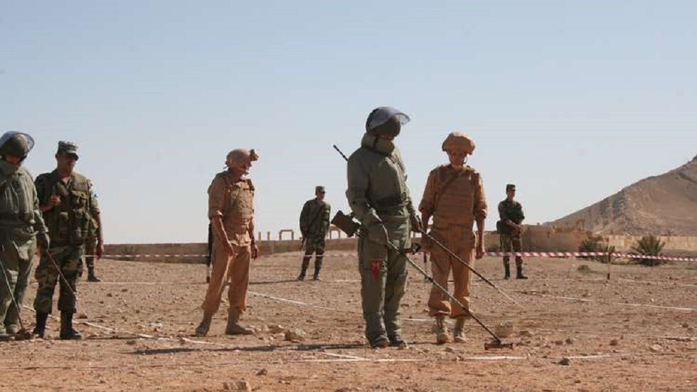 نيبينزيا: روسيا تحشد الجهود الدولية لإزالة الألغام في سوريا