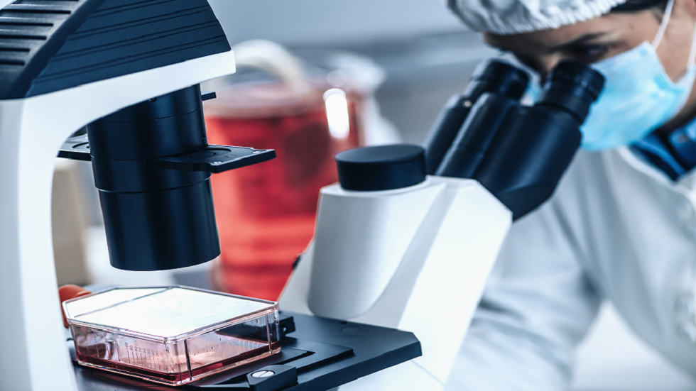 علماء: البحث في الأدمغة الصغيرة يمكن أن يثير سيناريو "كوكب القردة"!