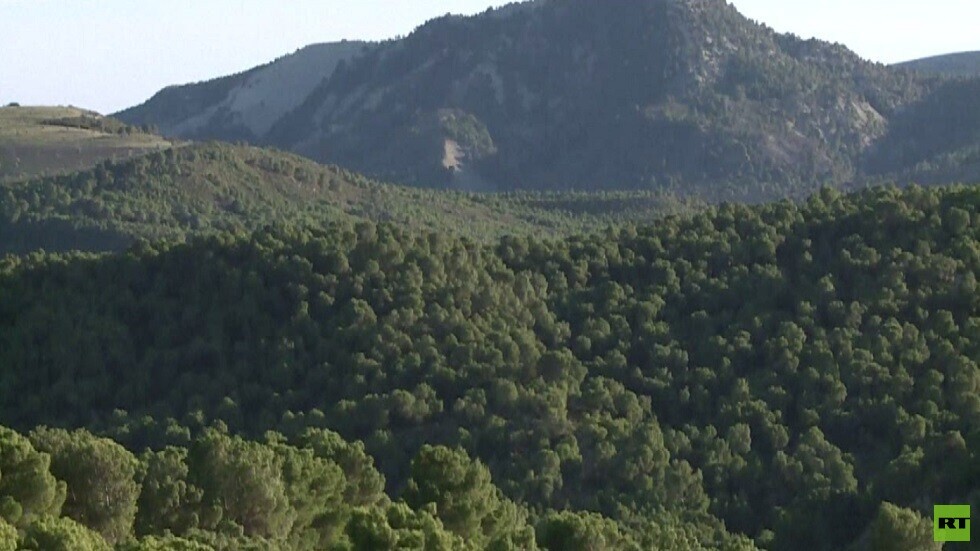 الصين الأولى في القضاء على الغابات وأوروبا الثانية