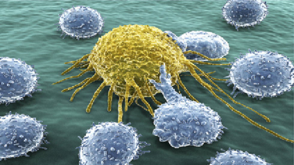 دراسة تكشف عن نظام غذائي غني بعناصر محددة 