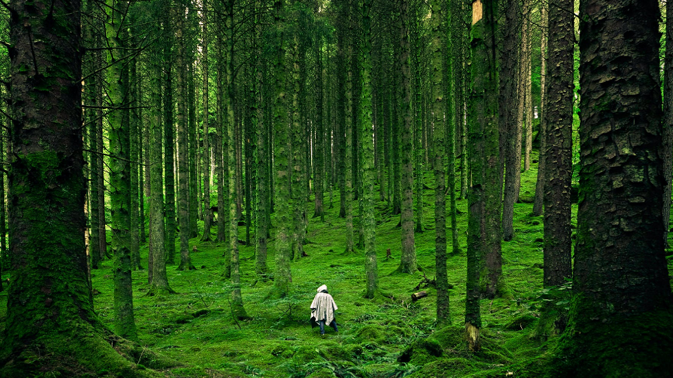 دراسة تكشف عن نسبة مقلقة للأراضي التي لم تعد 