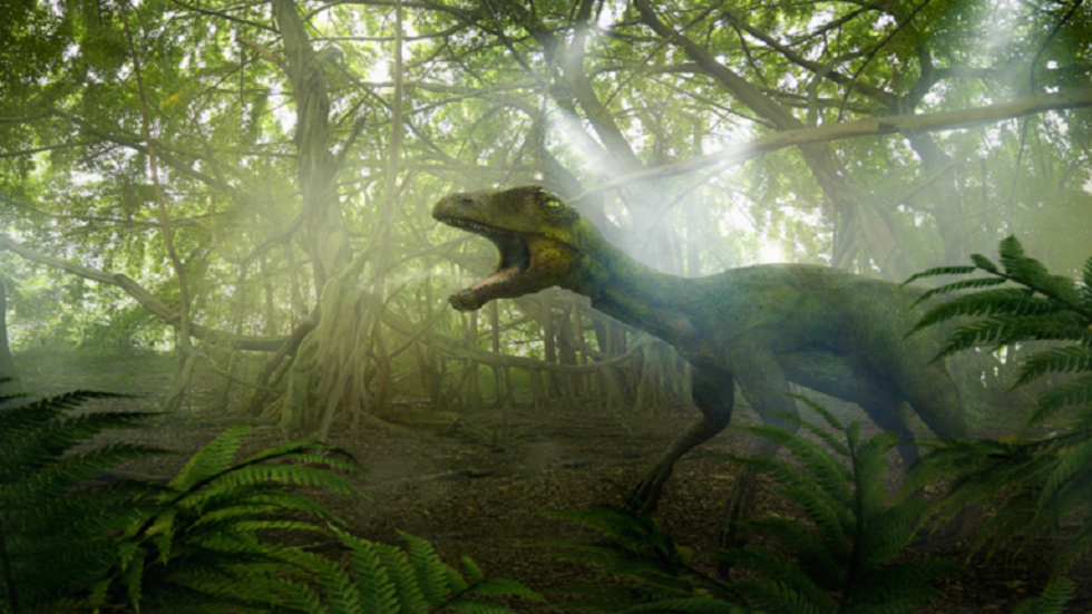 اكتشاف أصغر بصمة على الإطلاق لطفل ديناصور ستيغوصور بحجم قط (صور)