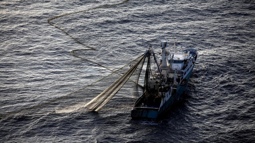 صياد أسترالي يصطاد سمكة تونة تزن 271 كغ